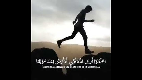 تلاوة جميله تطمئن لها القلوب | اسمع واحكم بنفسك - حالات واتساب دينية🍀💜