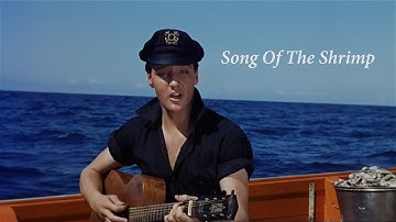 ELVIS PRESLEY - Song Of The Shrimp (New Edit) 4K