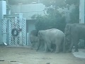 アティさんとウタイちゃんの同居❸