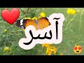 أغنية إسم آسر آسر آسر اغنية اغاني أغنية إسم آسر آسر آسر اغنية اغاني