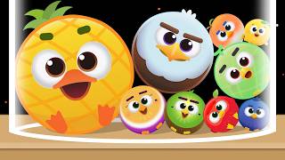 WATERMELON BIRD - Suika Bird (Watermelon Game) Drop & Merge, Merge Cute Pet, Android iOS Puzzle Game screenshot 1