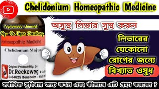 চেলিডোনিয়াম হোমিওপ্যাথিক ঔষধ । Chelidonium 30 Homeopathic Medicine । chelidonium q