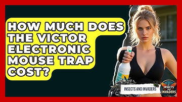 How Much Does The Victor Electronic Mouse Trap Cost? - Insects and Invaders