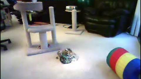 Light Following Robot + Neural Network Controller