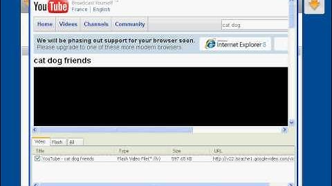 How to Capture Flash Video and  Save Flash Files from website