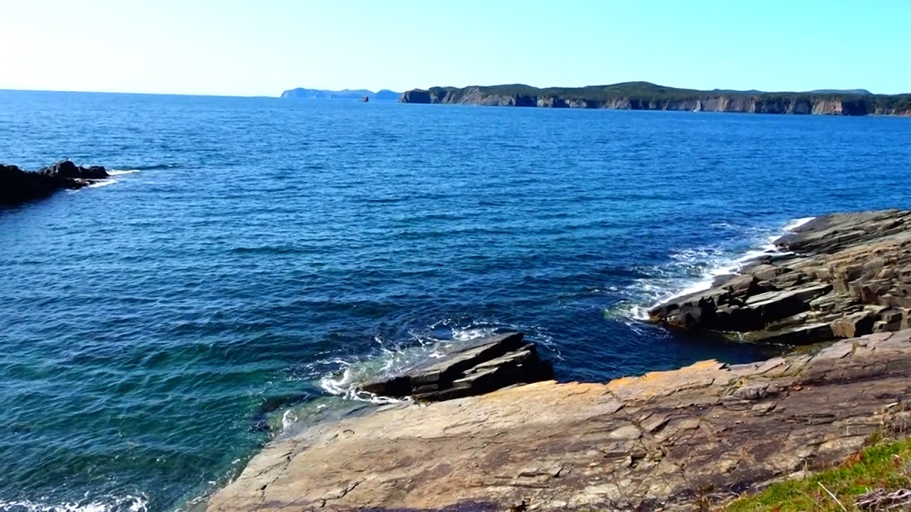 Fox Island Trail Champney's West, Newfoundland YouTube