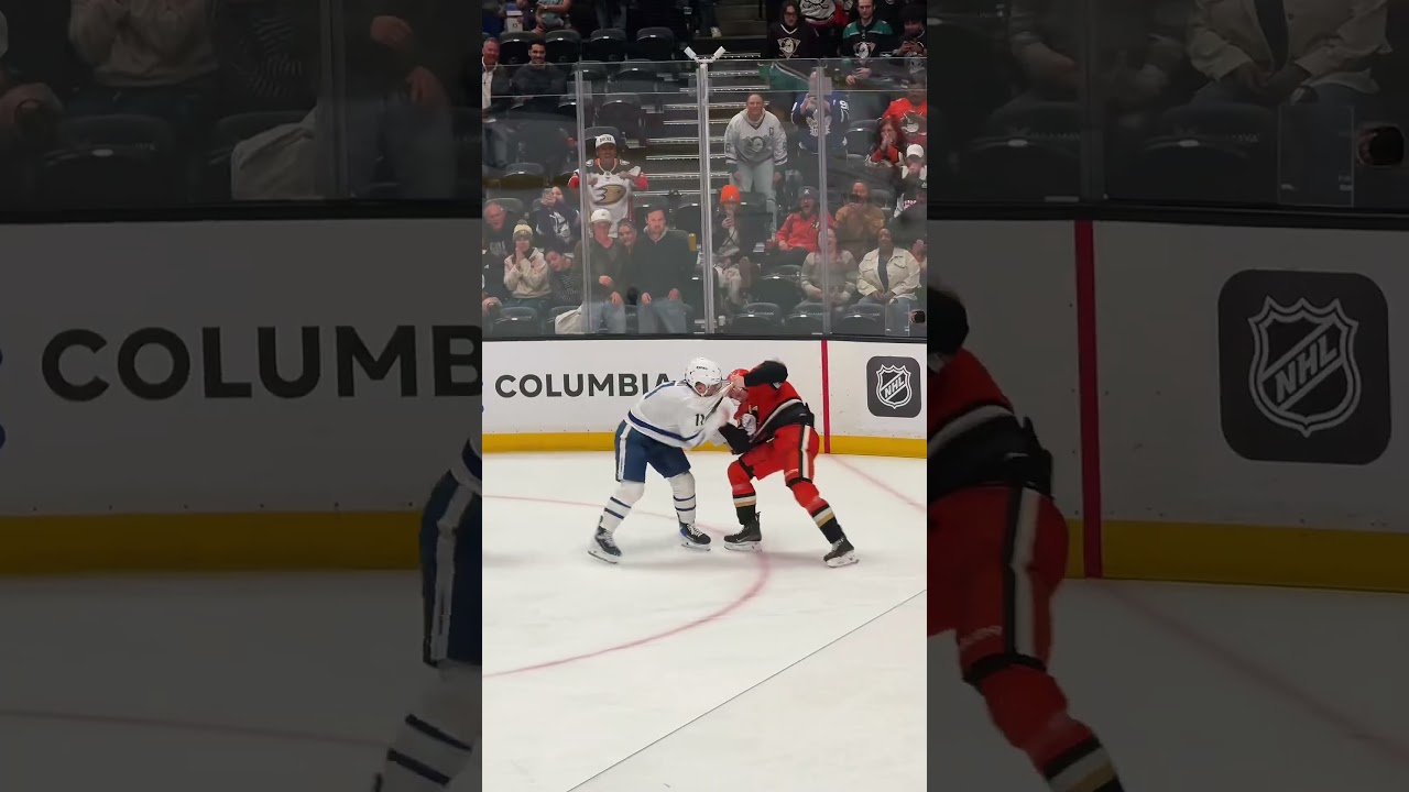 The boy aquarium got feisty. @Anaheim Ducks #hockey #flytogether