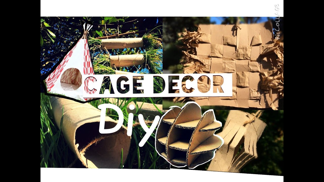 View of DIY cage decorations ( for all small pets) - YouTube