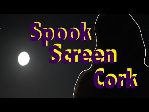 How horror film fans in Cork get ready for Halloween? Spook Screen is the answer!