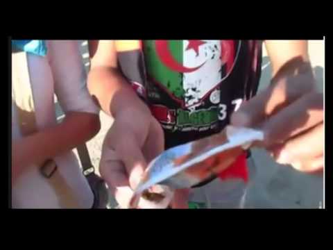 صدق او لا تصدق ارجنتينية دير كالة شمة ههههه    