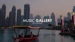 Dizaro - One More Night  [No Copyright]