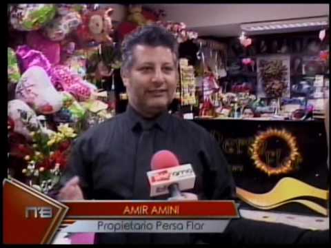 Persa Flor opciones para regalar a Mamá en su día