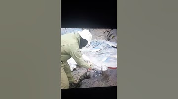This is how geologist collect lava samples from from active valcano||
