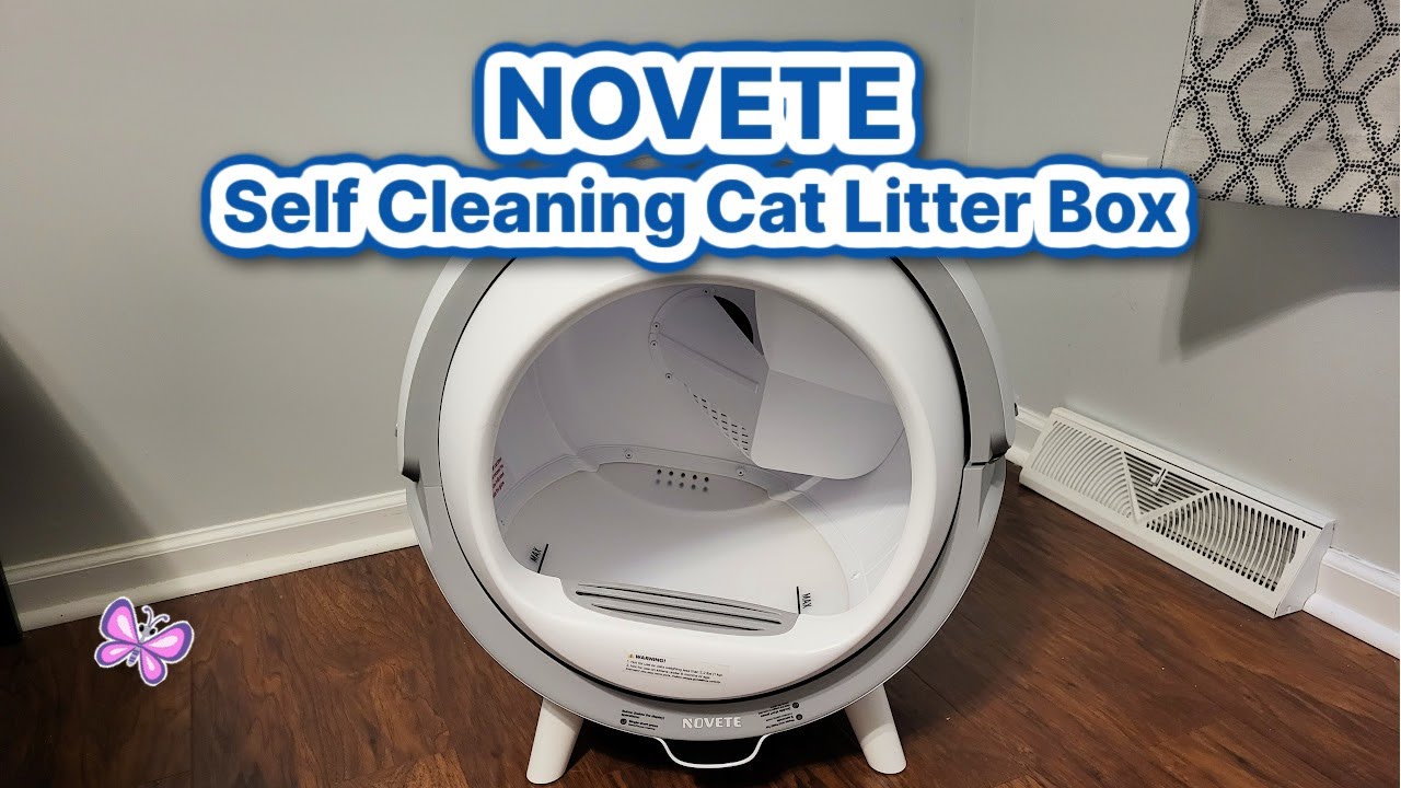 NOVETE SelfCleaning Cat Litter Box Review! Smart Cat Box With App