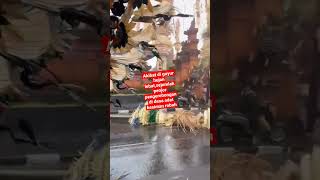 Download Lagu VIRAL!! PENJOR DI KESIMAN ROBOH #penjor #bali #kesiman #viral MP3