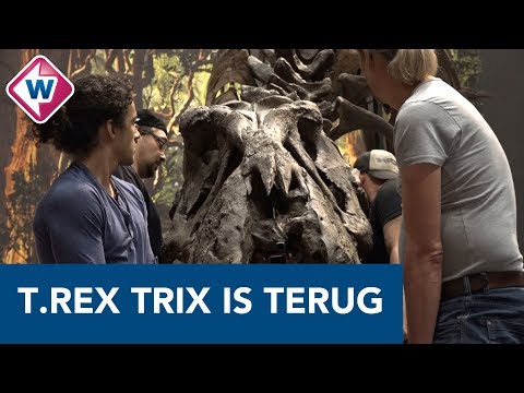 T. rex Trix krijgt definitieve bestemming