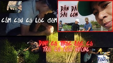 Cắm câu đêm dính cá thát lát, cá lóc, cá trê khủng./dân dã sài gòn
