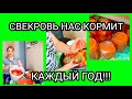 Треснутые томаты в переработку!//Кетчуп и резаные томаты на зиму