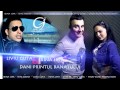 Liviu guta irina lepa si dani printul banatului  fetele de azi doresc  audio 2013