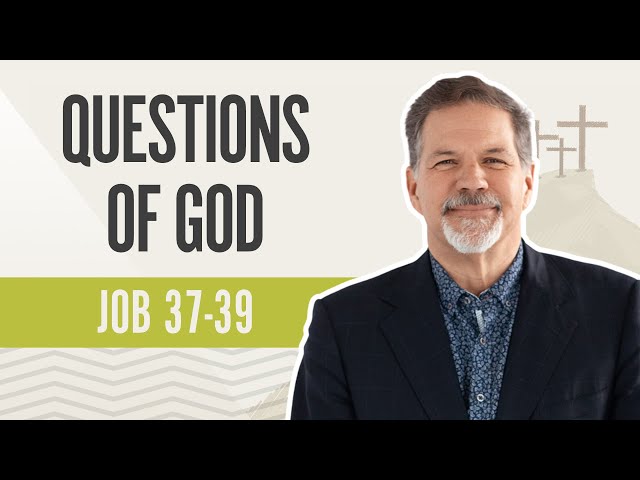 Questions of God | Job 37-39