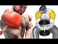 Guide to the Best Exercises for Building Strong Shoulder Muscles