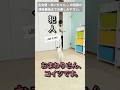 アカデミー主演狙ってみた #ジャックラッセルテリア #あいちゃん #shorts