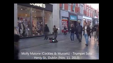 Molly Malone (Cockles & Mussels) - Trumpet Solo - Henly St., Dublin (Nov. 11, 2013) -