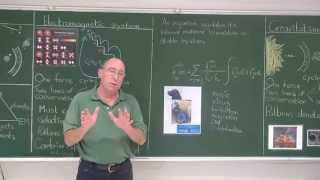 Famous Science teaching, a universal perspective Profile