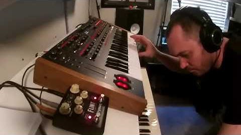 DSI Pro2 and Strymon Flint - Synth and Pedal demonstration