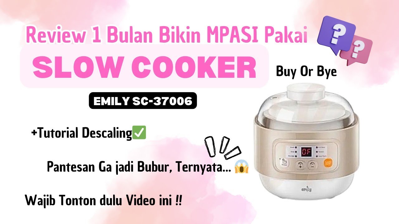 REVIEW JUJUR !! 1 BULAN MASAK MPASI MENGGUNAKAN SLOW COOKER EMILY + STEAMER