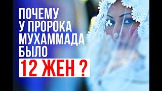 Почему у пророка Мухаммада было 12 ЖЕН?