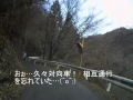 神奈川県道７０号走行動画・ヤビツ峠