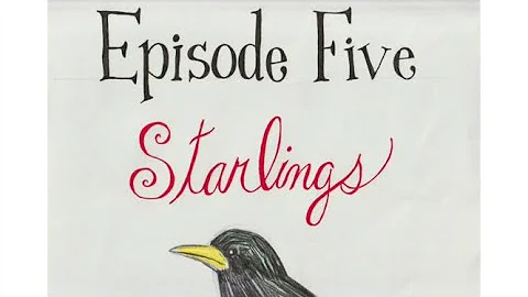 Bird-Watching and Drawing with Annette LeBlanc Cat...