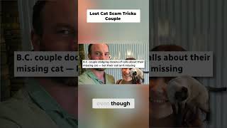 FAKE missing cat shirt leads to hilarious prank calls