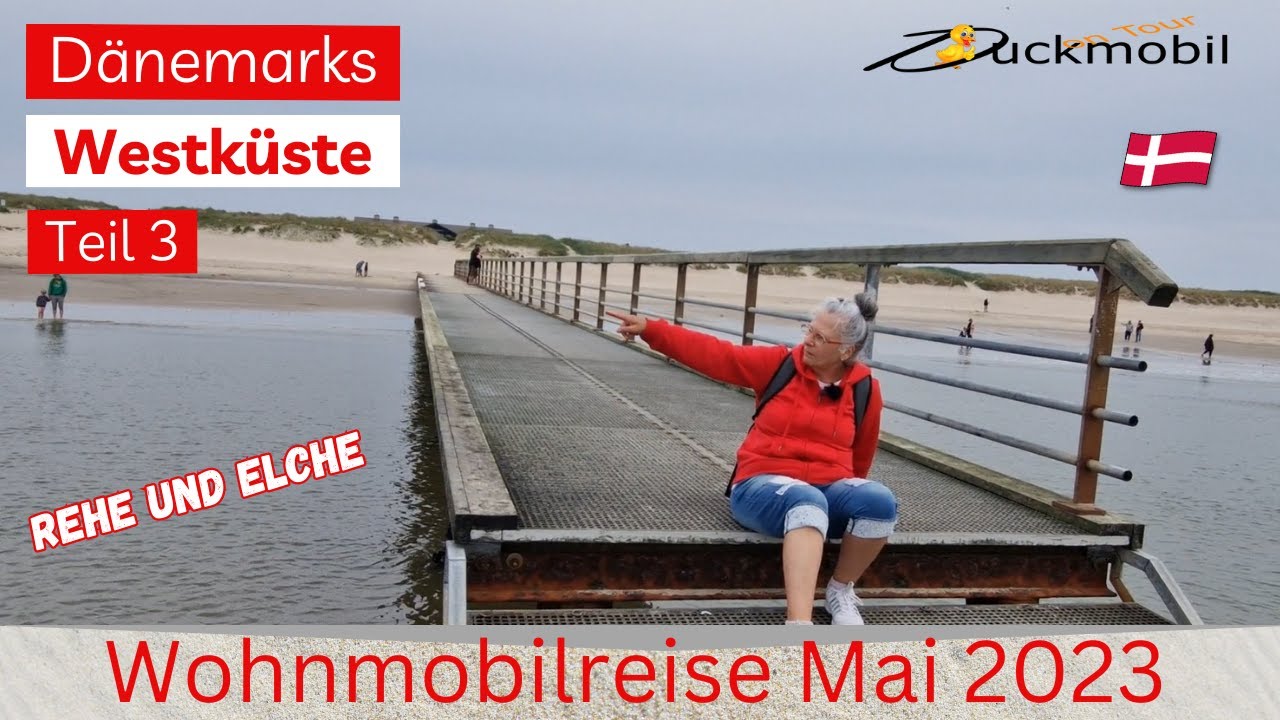 Dänemarks Westküste Teil  3,  Rund um Blavand und Vejers ● Elchsuche ● Filsø-Ellipsen