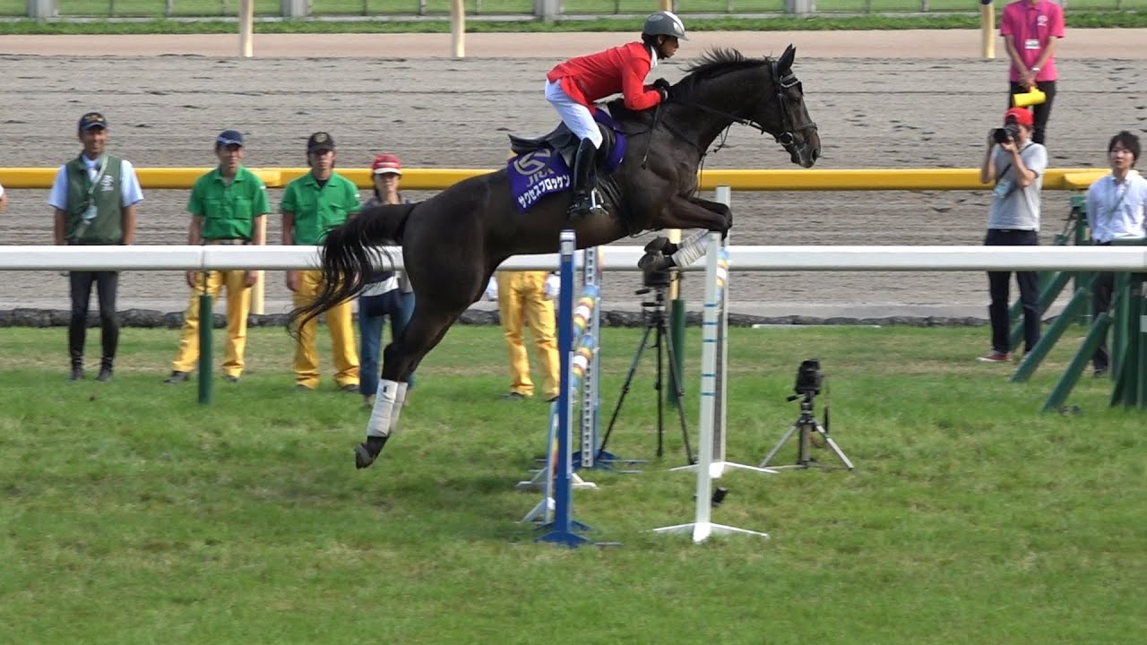 サクセスブロッケンと先輩障害馬によるジャンピングホースショー