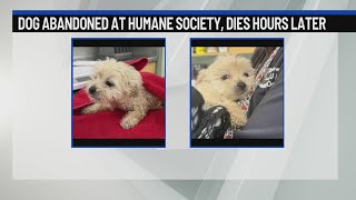 Abandoned puppy’s death prompts call for donations to MHHS