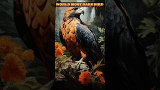 World most Rare bird 🕊️#shorts #facts