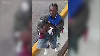 Houston police identify English Bulldog thief