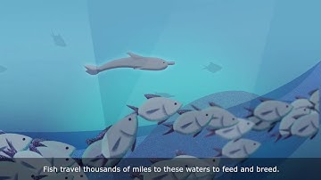 Governing the high seas: half of the planet that belongs to us all