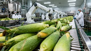 Inside a High-Tech MASSIVE Corn Milk Factory | How Corn Is Turned Into Corn Milk (Full Process)