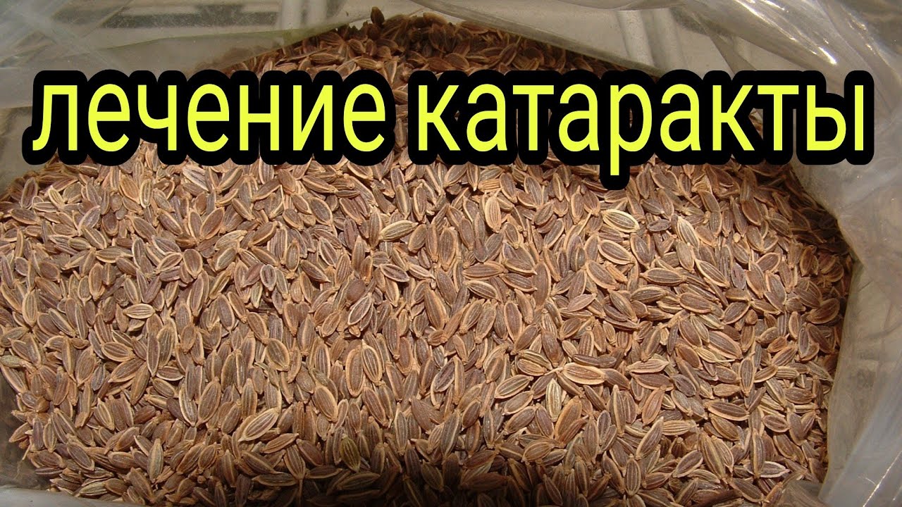 Лечение катаракты семенами укропа. Как лечить катаракту в домашних ...