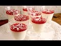 Orange Panna Cotta with Cranberry | Episode 1208