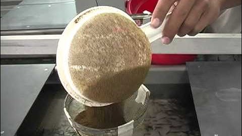 Go Fish BC: Feeding the Fish