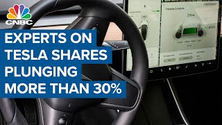 Famous Two experts discuss Tesla as shares plunge more than 30% Net Worth