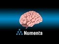 Numenta: Why Brains Matter