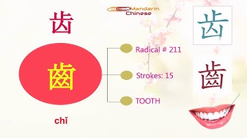 214 Chinese Radicals with picture and stroke order animation - Topic 6 BODY