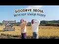 Watch this if you feel unmotivated & low (Goodbye Seoul) | Q2HAN