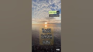 سورة المائده الايه 41
