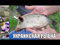 Пропенили весь мл с ЛУЧШИМ БЕСПЛАТНЫМ ЧИТОМ NURSULTAN NEXTGEN